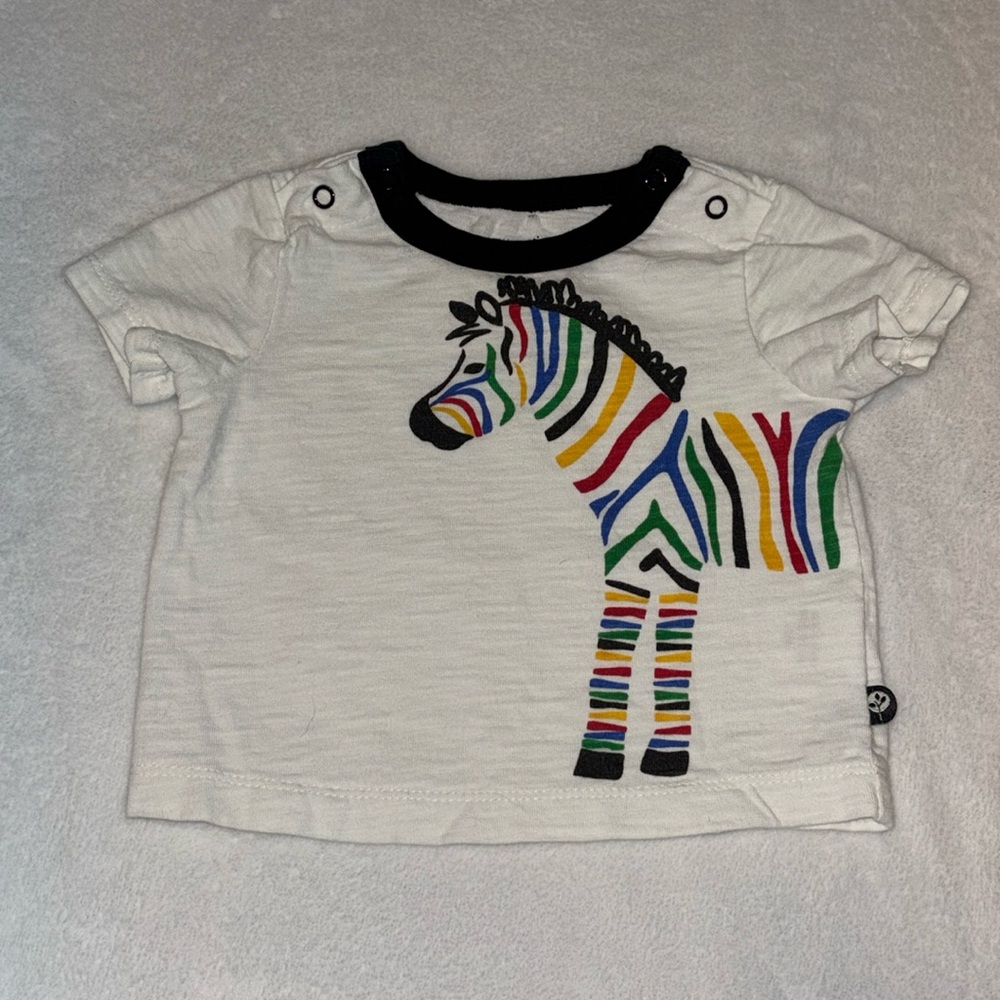 offspring 100% cotton zebra t shirt 🦓
